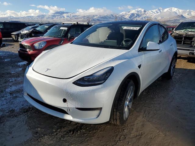 2023 TESLA MODEL Y  2023 image
