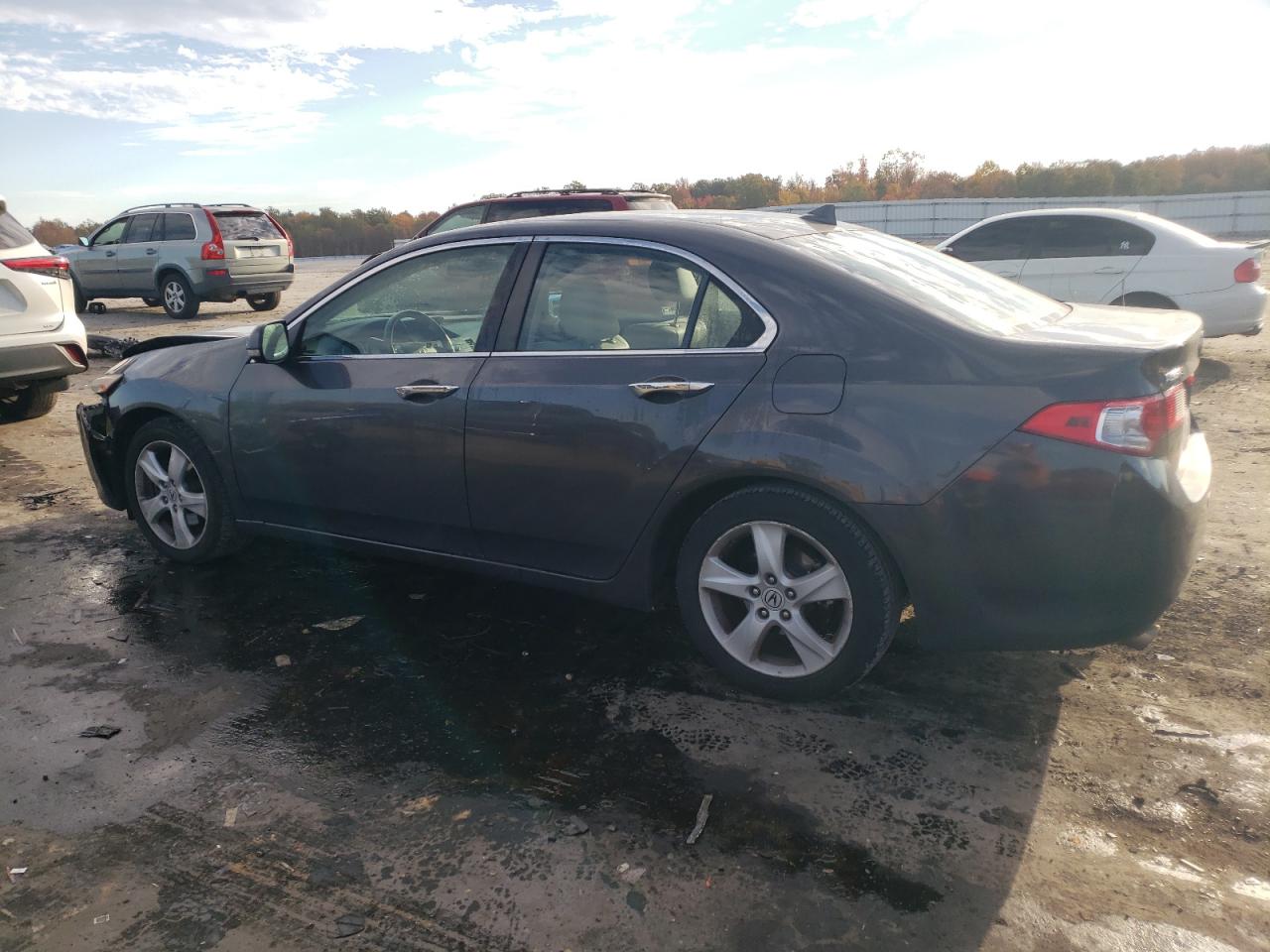 Image 2 of 2010 ACURA TSX  2010 with VIN JH4CU2F65AC010322