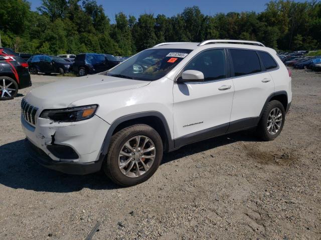 Obraz 1 z 2019 JEEP CHEROKEE LATITUDE PLUS 2019 z VIN 1C4PJMLX0KD300077