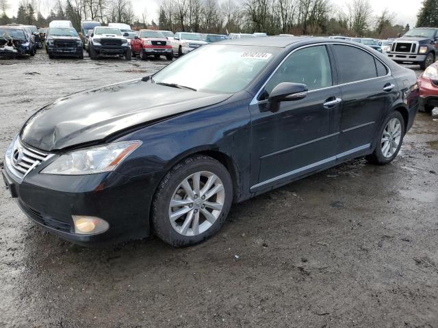 2010 LEXUS ES 350 2010 image