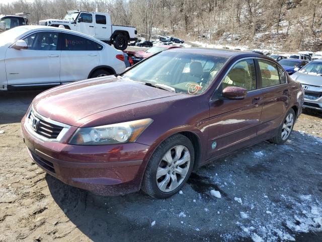 Image 1 of 2010 HONDA ACCORD EXL 2010 with VIN 1HGCP2F82AA164798
