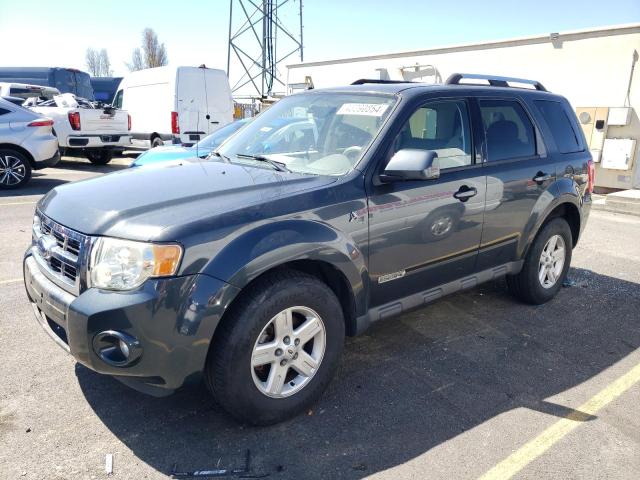 2008 FORD ESCAPE HEV 2008 image