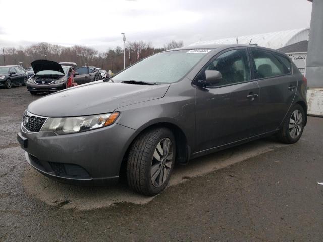 2013 KIA FORTE EX 2013 image