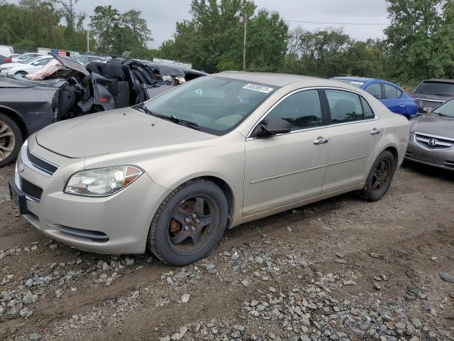 Изображение 1 2009 CHEVROLET MALIBU LS 2009 с VIN 1G1ZG57B89F235031