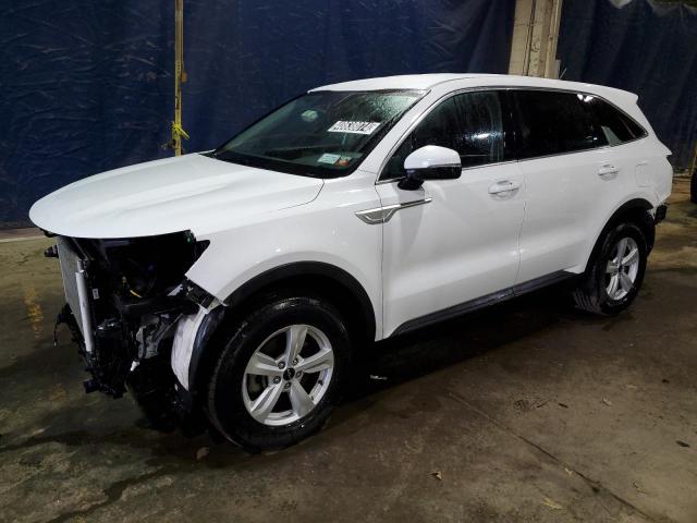 Obraz 2023 KIA SORENTO LX 2023