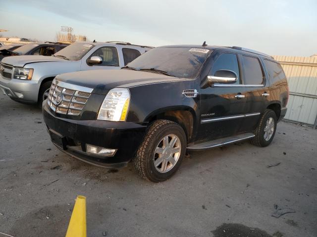Obraz 2011 CADILLAC ESCALADE  2011