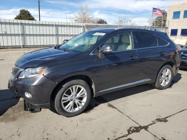 2010 LEXUS RX 450 2010 image