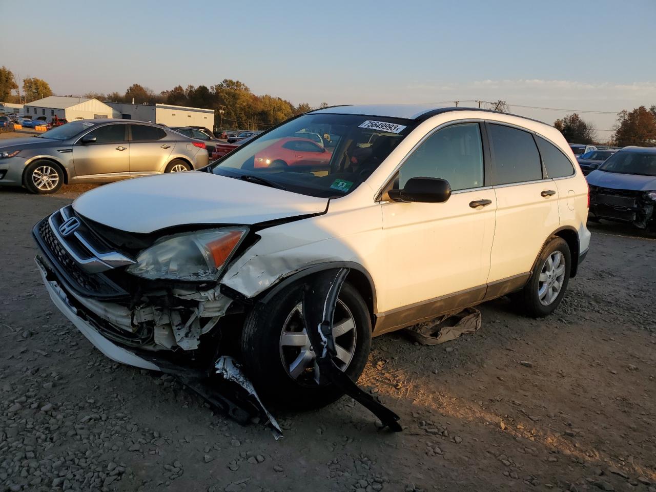 Obraz 2011 HONDA CR-V SE 2011