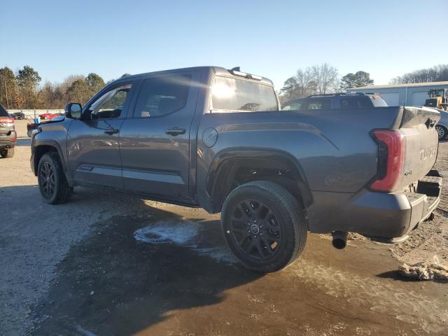 Изображение 2 2023 TOYOTA TUNDRA CREWMAX PLATINUM 2023 с VIN 5TFNA5DB2PX106821