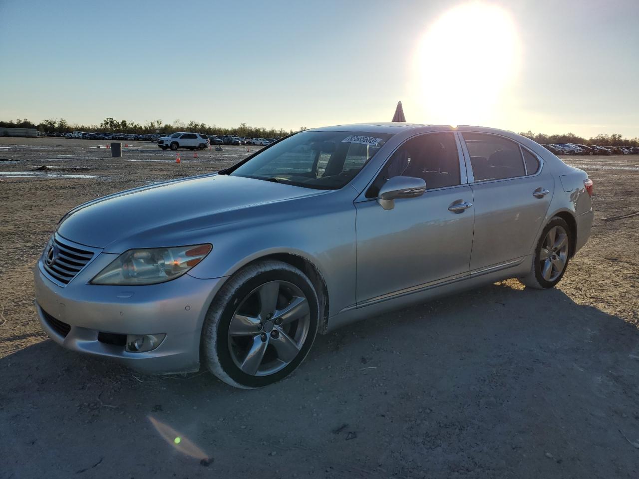 Obraz 2010 LEXUS LS 460L 2010