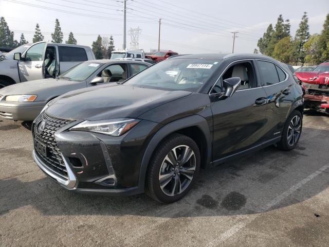 2020 LEXUS UX 250H 2020 image