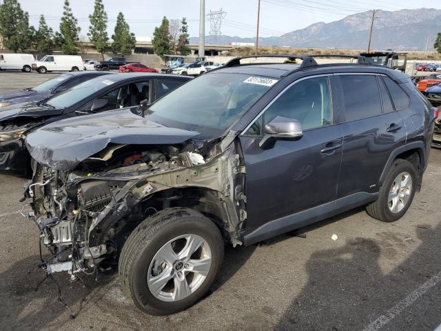 2021 TOYOTA RAV4 XLE 2021 image
