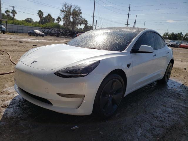 2023 TESLA MODEL 3  2023 image
