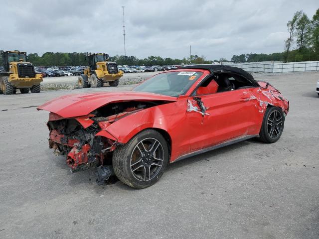 2019 FORD MUSTANG  2019 image