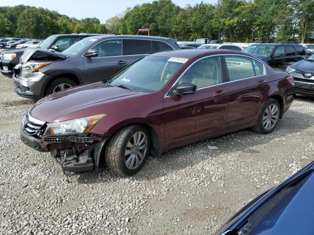Изображение 1 2011 HONDA ACCORD EXL 2011 с VIN 1HGCP2F8XBA101112