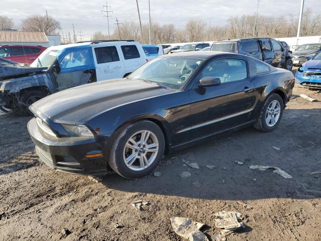 Obraz 2014 FORD MUSTANG  2014