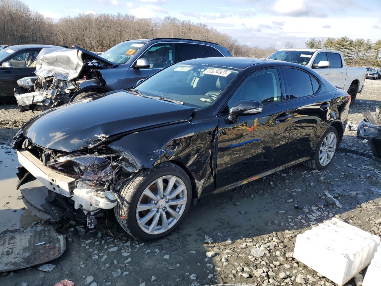 Obraz 2009 LEXUS IS 250 2009