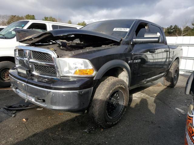 2010 DODGE RAM 1500  2010 image