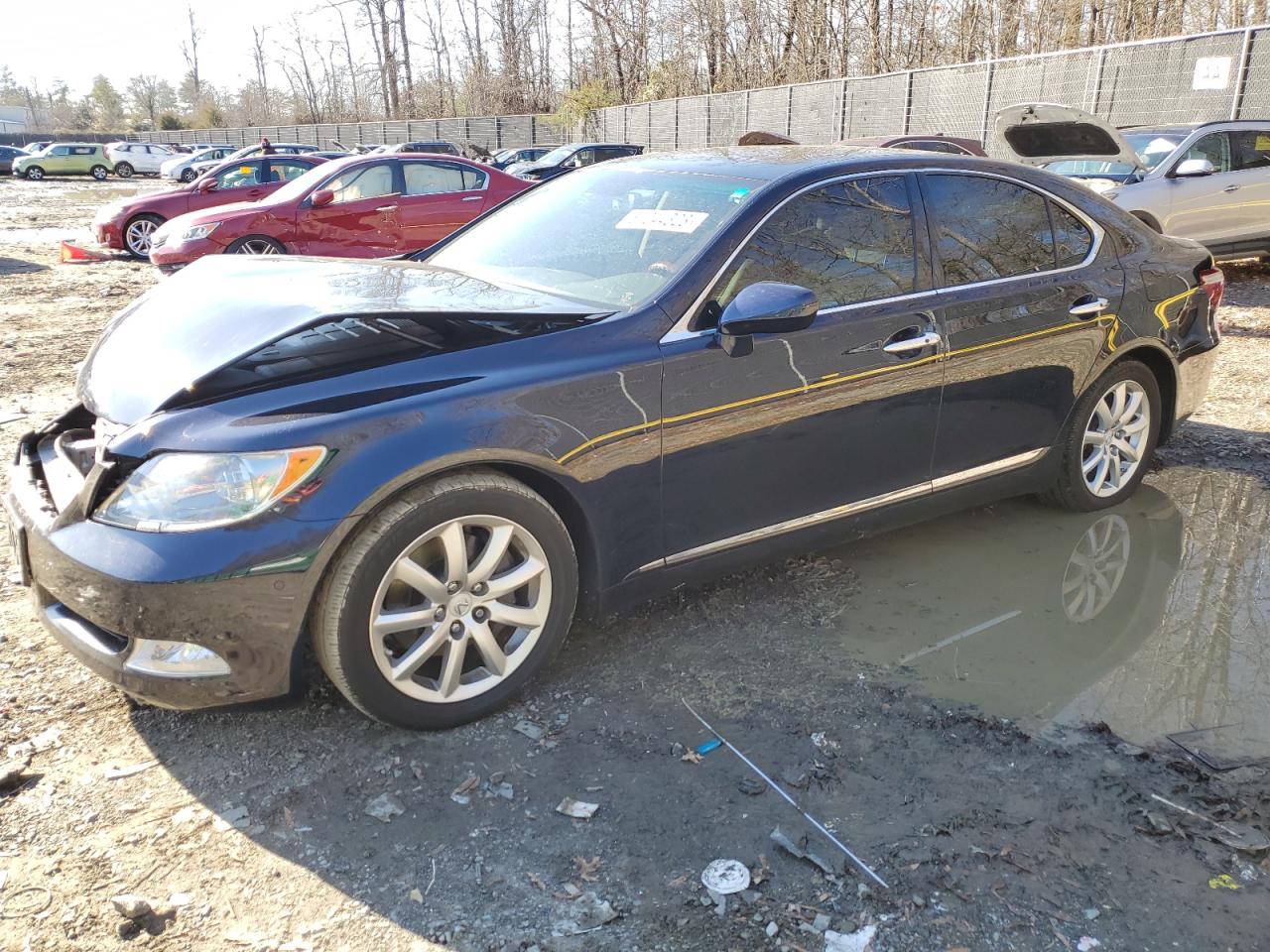 Изображение 2008 LEXUS LS 460 2008