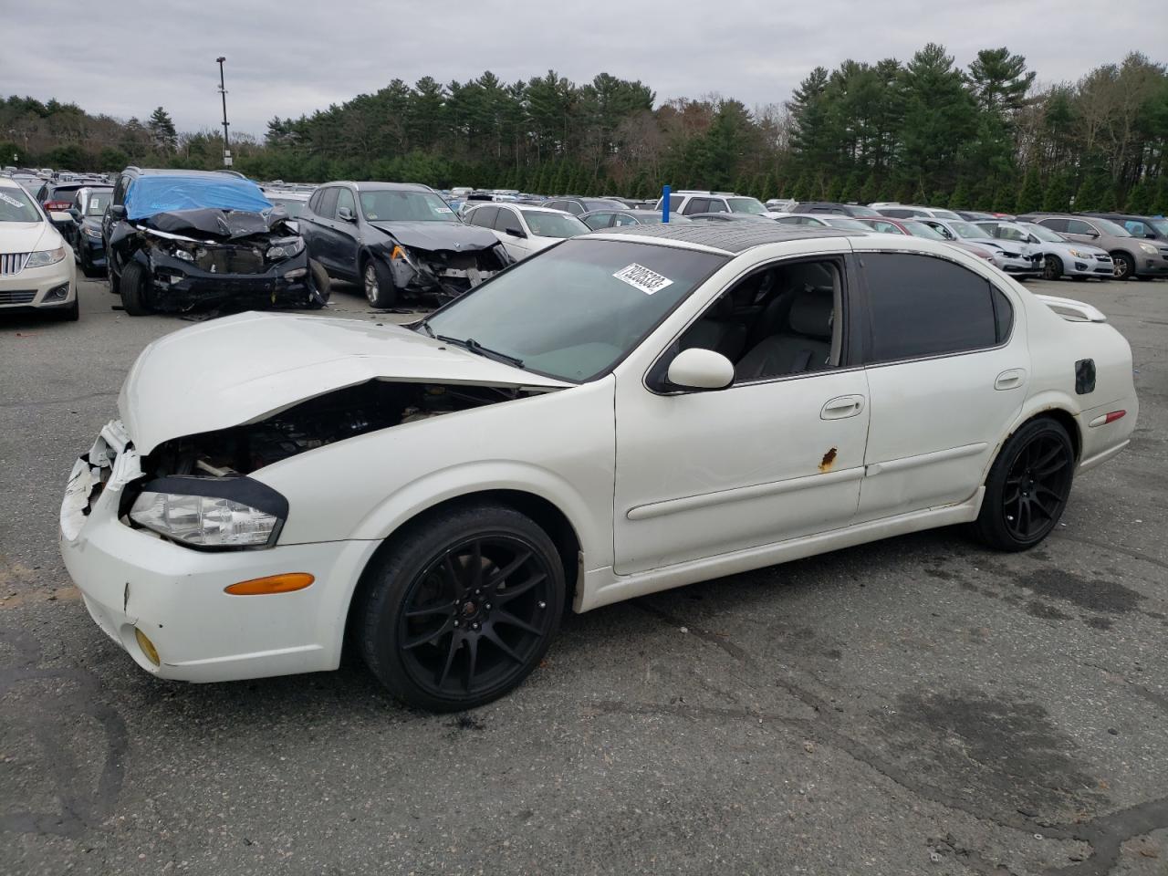 2003 NISSAN MAXIMA GLE 2003 image