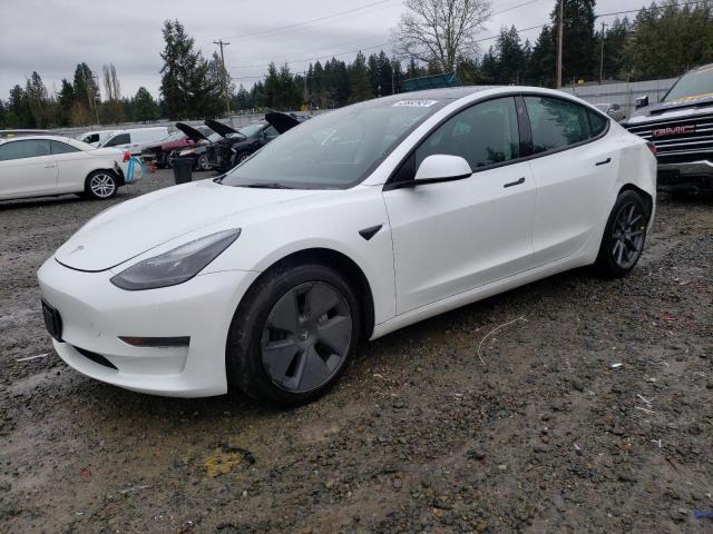 2023 TESLA MODEL 3  2023 image