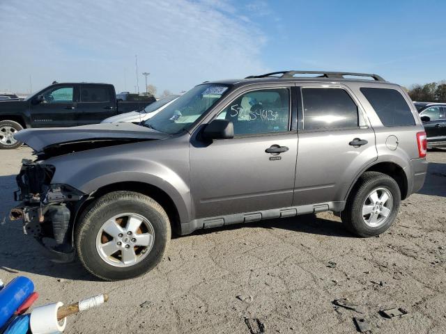 Obraz 2011 FORD ESCAPE XLT 2011