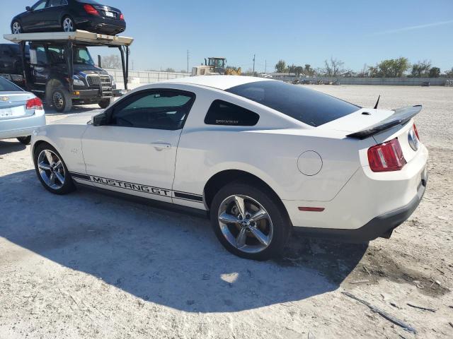 Obraz 2 z 2010 FORD MUSTANG GT 2010 z VIN 1ZVBP8CH7A5123476