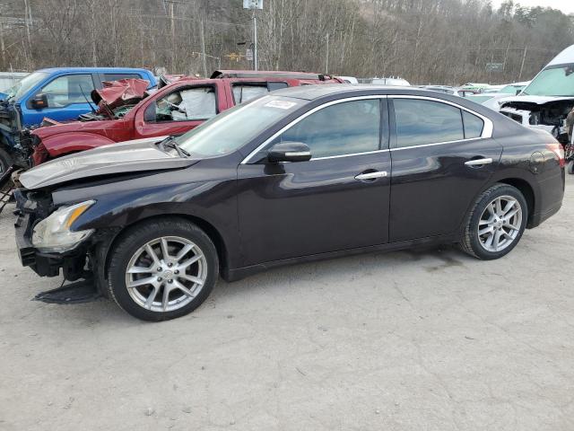 Image 1 of 2010 NISSAN MAXIMA S 2010 with VIN 1N4AA5AP3AC840225