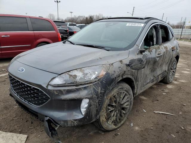 Obraz 2022 FORD ESCAPE SEL 2022