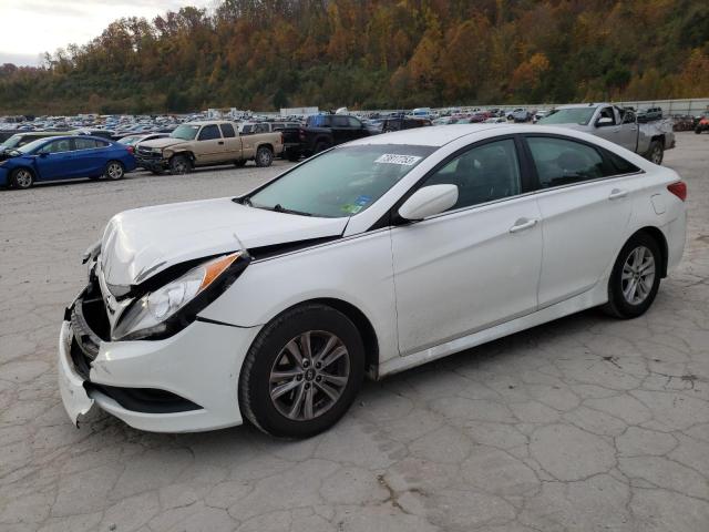2014 HYUNDAI SONATA GLS 2014 image