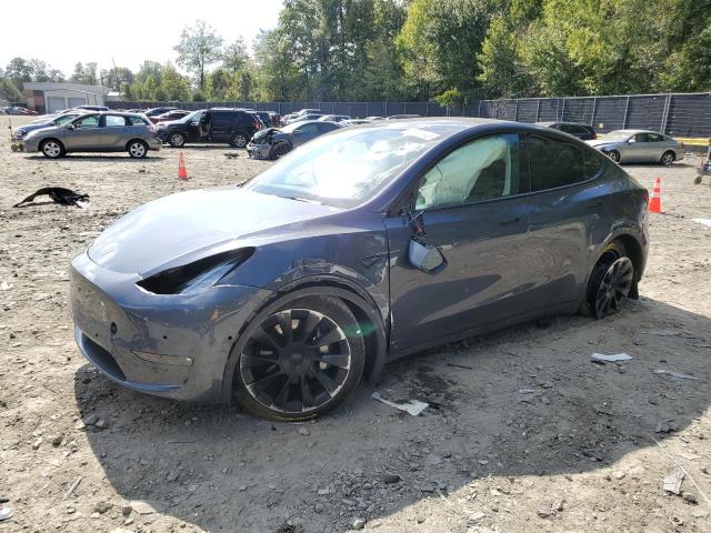 Obraz 2022 TESLA MODEL Y  2022