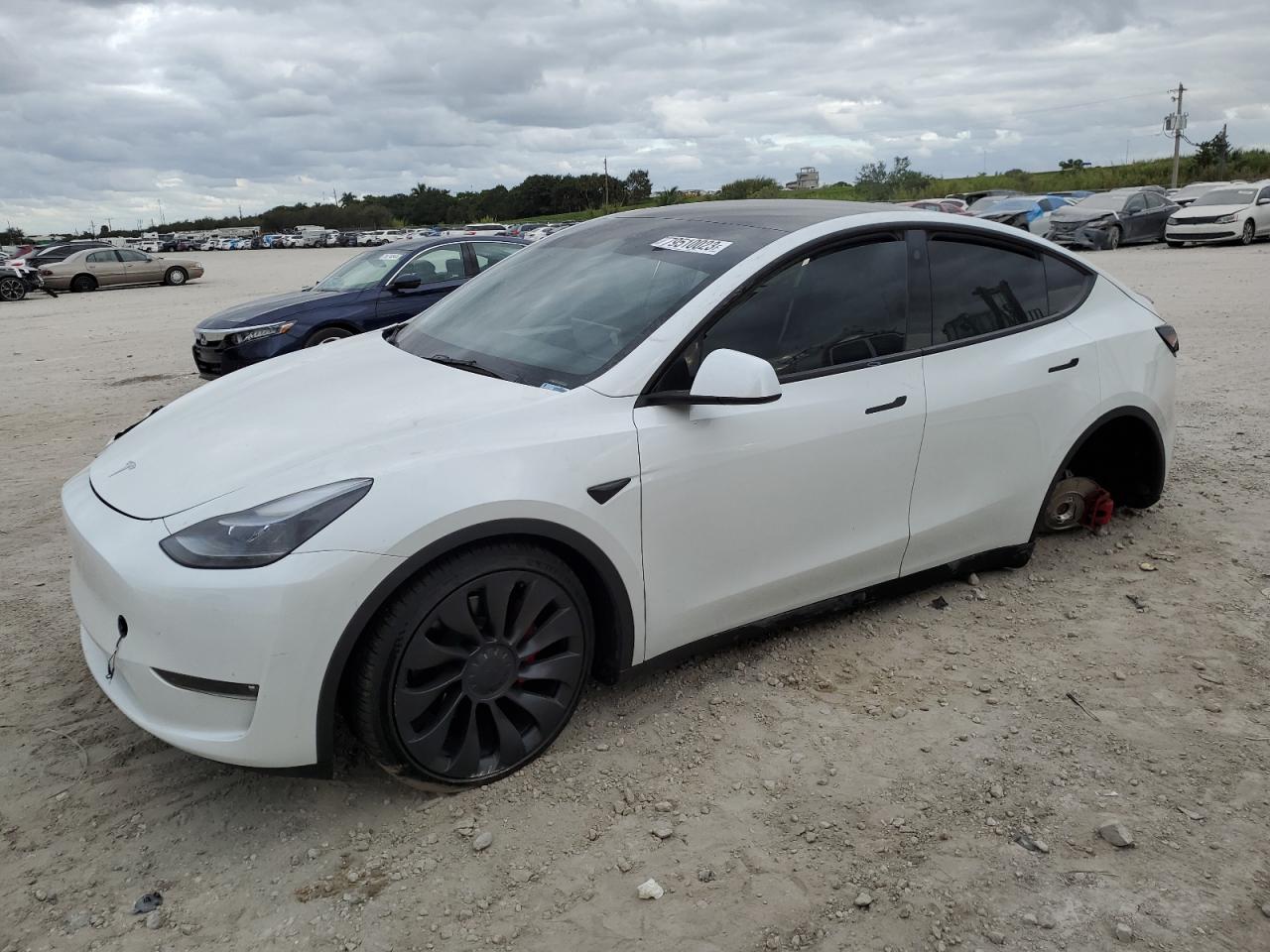 Изображение 1 2023 TESLA MODEL Y  2023 с VIN 7SAYGDEF7PF643320
