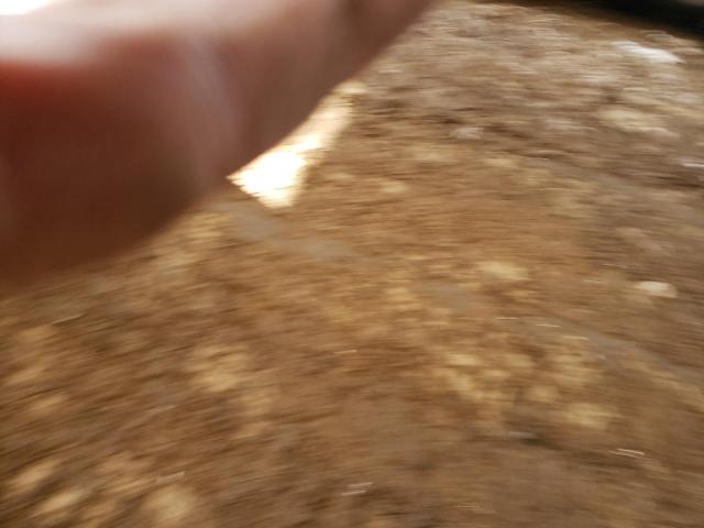 Изображение 2 2015 FORD MUSTANG GT 2015 с VIN 1FA6P8CFXF5413405