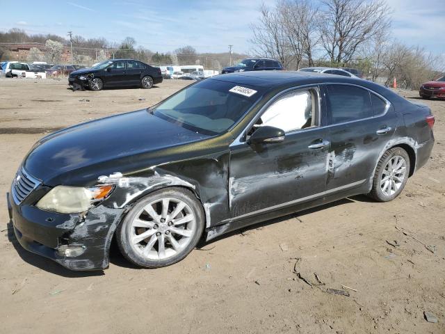 2010 LEXUS LS 460 2010 image
