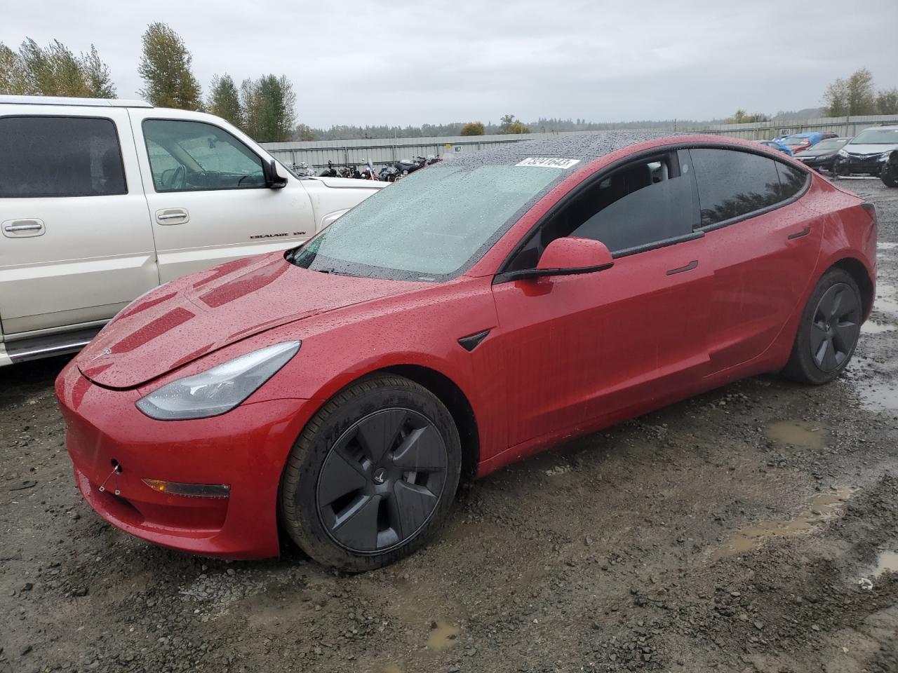 Obraz 2021 TESLA MODEL 3  2021
