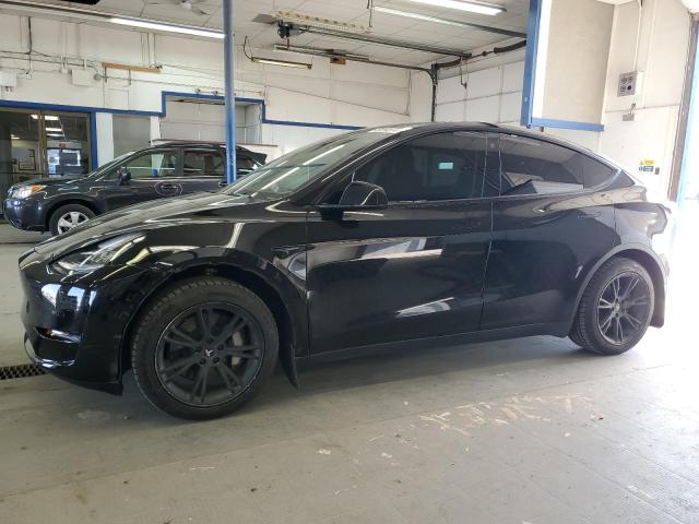 2022 TESLA MODEL Y  2022 image
