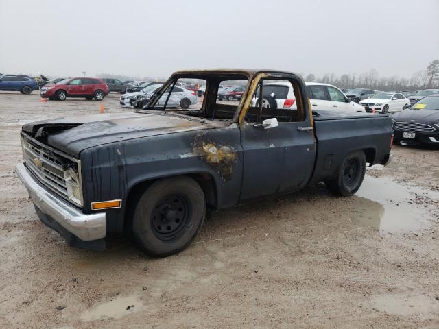 Obraz 1981 CHEVROLET C10  1981