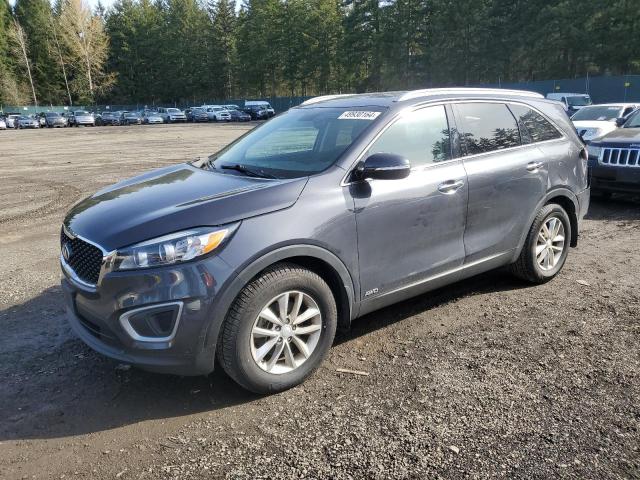 Obraz 2017 KIA SORENTO LX 2017