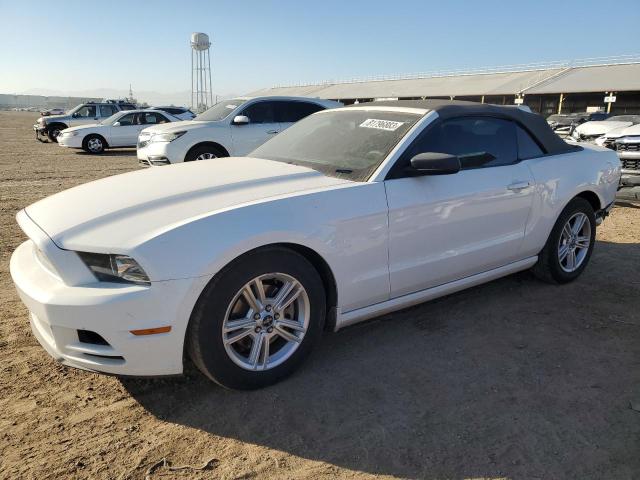 2013 FORD MUSTANG  2013 image
