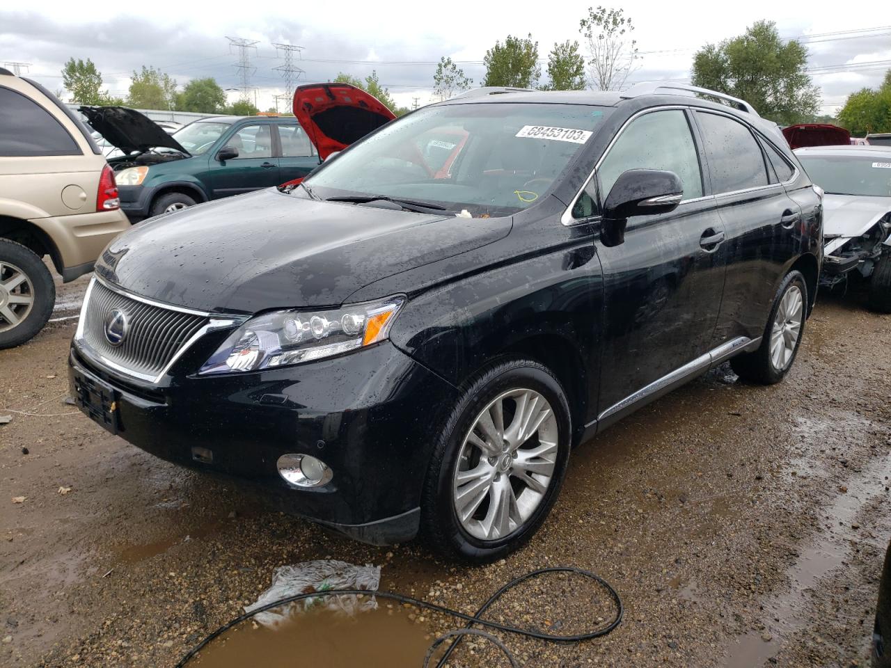 Obraz 2011 LEXUS RX 450 2011