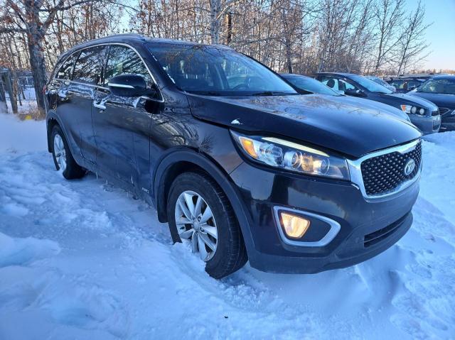 Изображение 2016 KIA SORENTO LX 2016