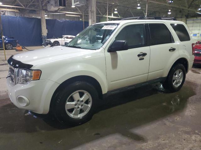 Obraz 2009 FORD ESCAPE XLT 2009