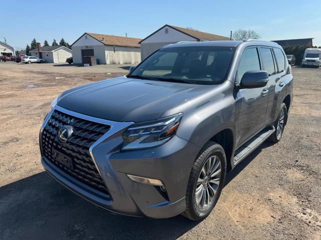 Obraz 2020 LEXUS GX 460 LUXURY 2020