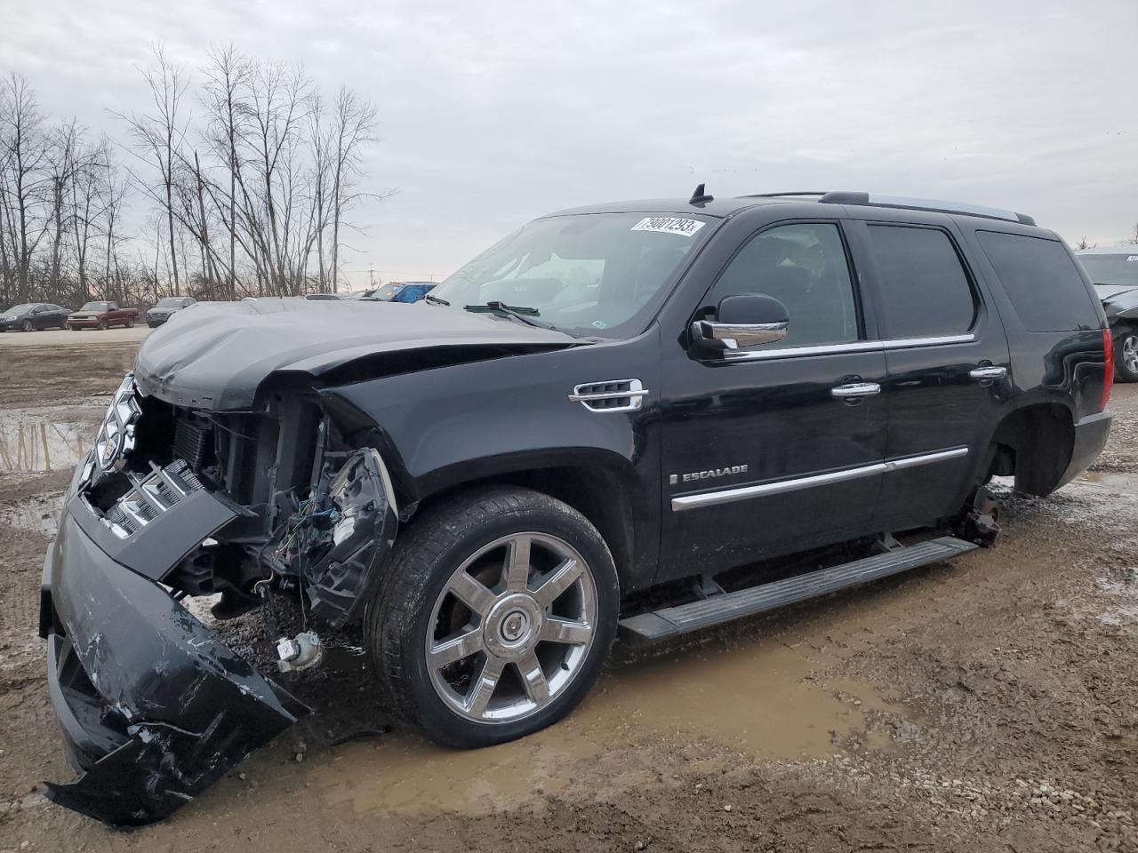2008 CADILLAC ESCALADE LUXURY 2008 image