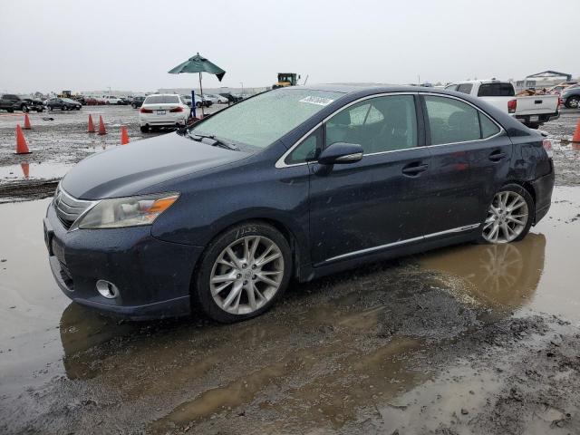 2010 LEXUS HS 250H 2010 image