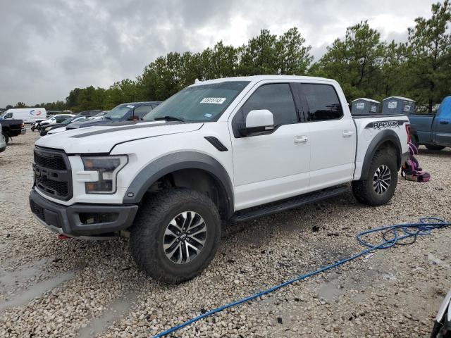 Obraz 2019 FORD F150 RAPTOR 2019