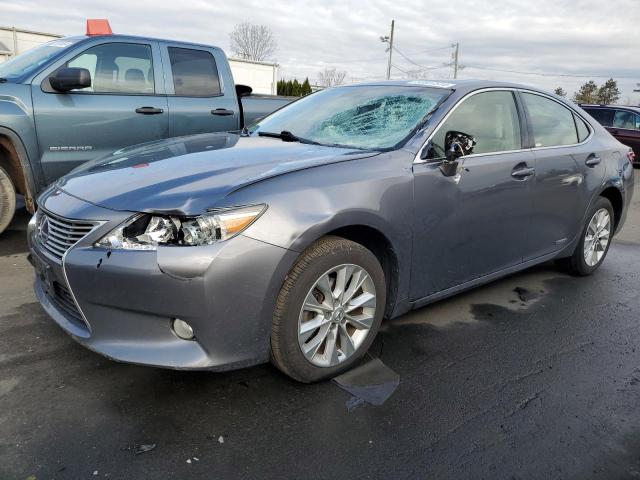 Obraz 2013 LEXUS ES 300H 2013