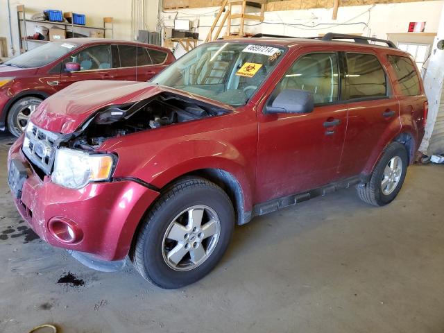 Obraz 2009 FORD ESCAPE XLT 2009