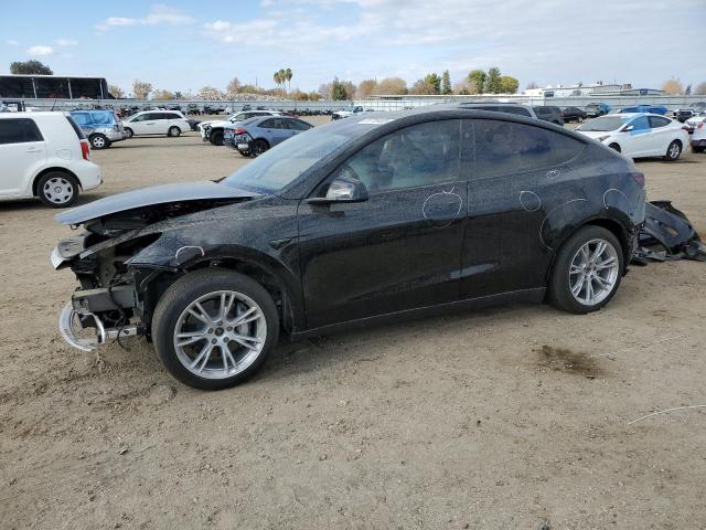 2023 TESLA MODEL Y  2023 image
