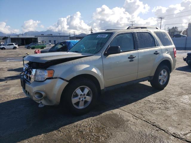 2010 FORD ESCAPE XLT 2010 image